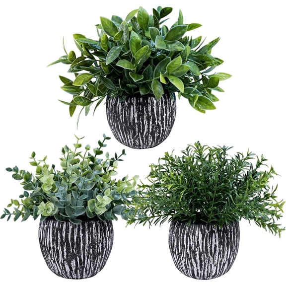 Set of 3 Artificial Potted Plants Faux Euc Rosemary Boxwood Greenery in Black & White Concrete Pots Small Fake Plant for Indoor Outdoor Home Office Table Shelf Windowsill Greens Dcor