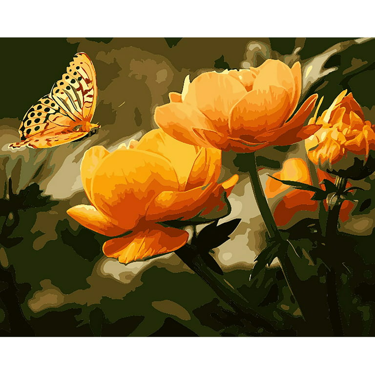 Winnie's Picks Adult Paint by Number Kit - Peach Butterfly in The Summer 16 x 20
