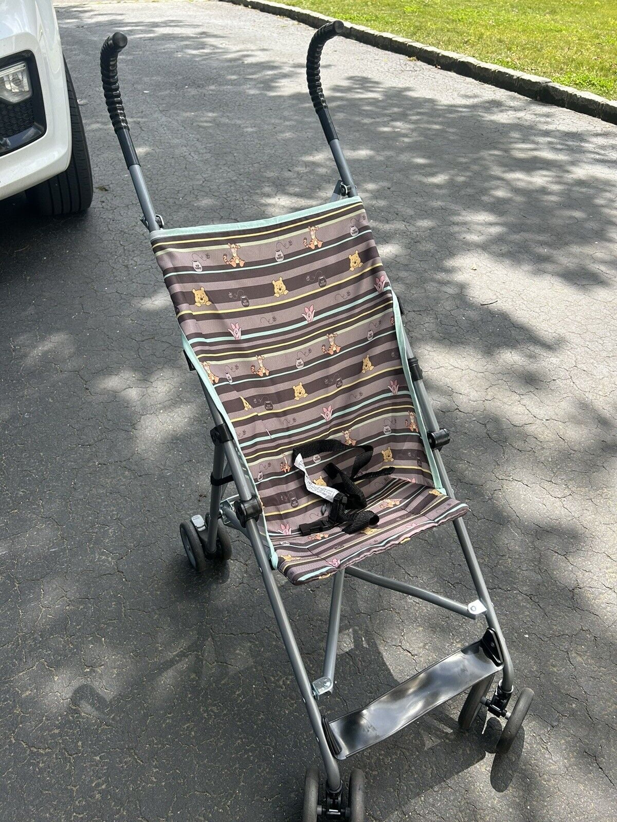 Winnie the Pooh Baby Stroller