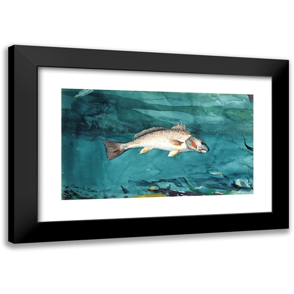 Winslow Homer 14x10 Black Modern Framed Museum Art Print Titled - Channel Bass (1904)