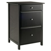 Winsome Wood Delta Home Office File Cabinet, Black Finish