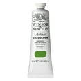 thumbnail image 1 of Winsor & Newton Artists Oil Color, 37ml, Sap Green, 1 of 2