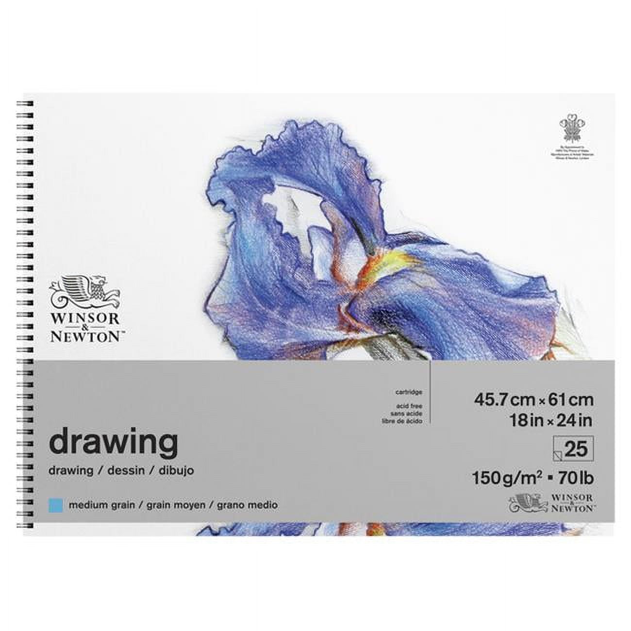 Winsor & Newton Drawing Pad - 18" x 24", Medium