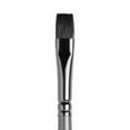 thumbnail image 1 of Winsor & Newton Eclipse Black Sable Brush, Flat/Bright, 8, 1 of 5