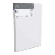 Winsor & Newton Professional Cotton Canvas - 18 x 24, Deep Edge