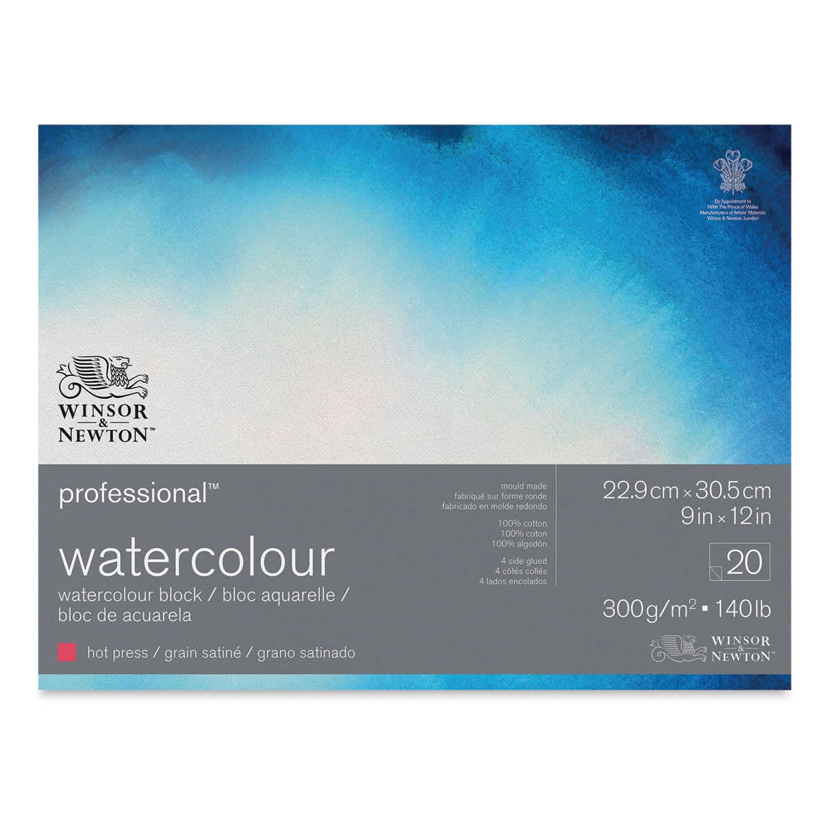 Winsor & Newton Professional Watercolour Paper Block, Hot Press, 9" x 12"
