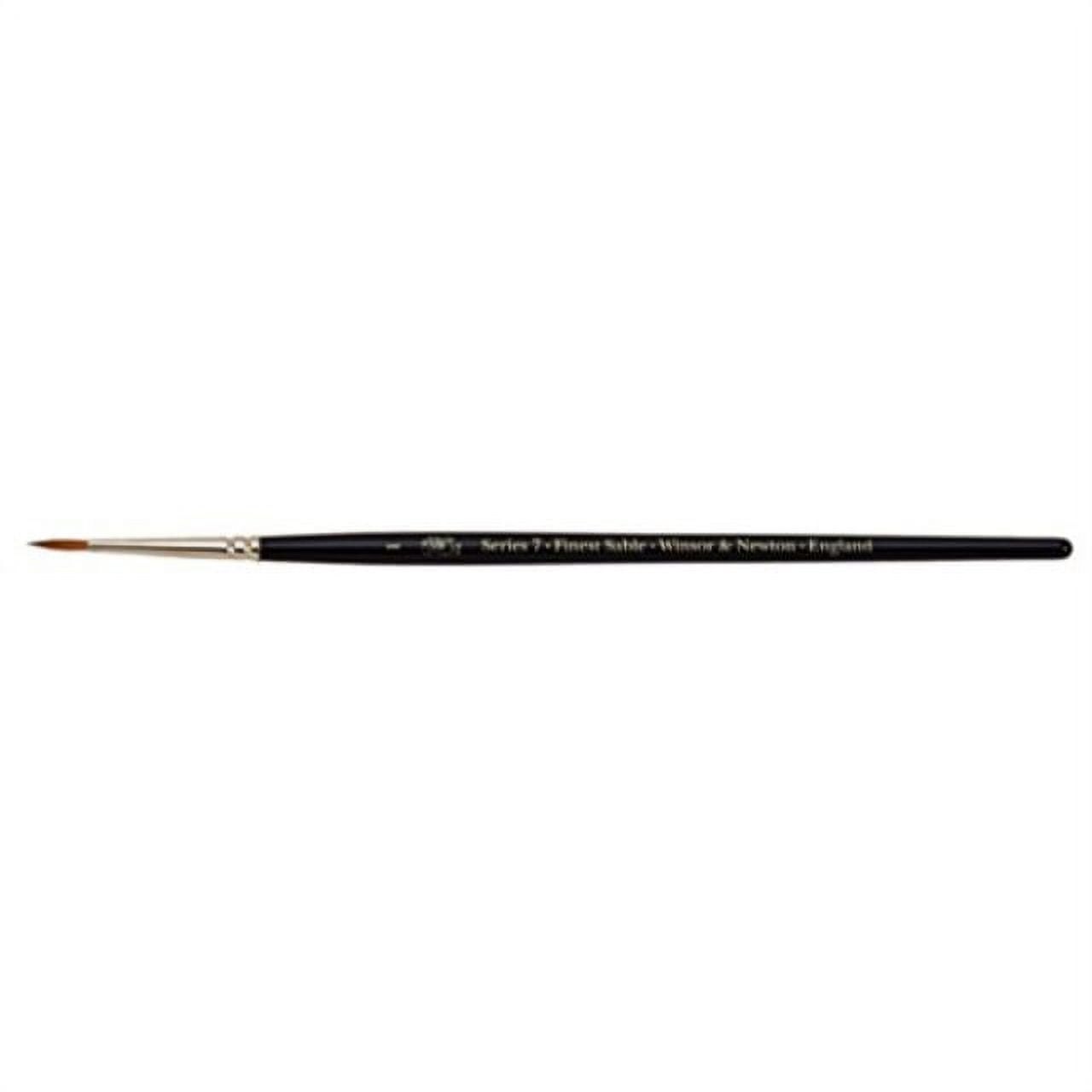 Winsor & Newton Artists' Professional Watercolour Sable - Round - Just the  brush