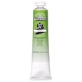 thumbnail image 1 of Winsor & Newton Winton Oil Color, 200ml, Sap Green, 1 of 2