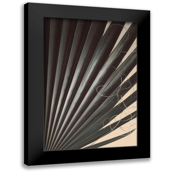 Winstanley, Ian 11x14 Black Modern Framed Museum Art Print Titled - Fan Palm Detail 2