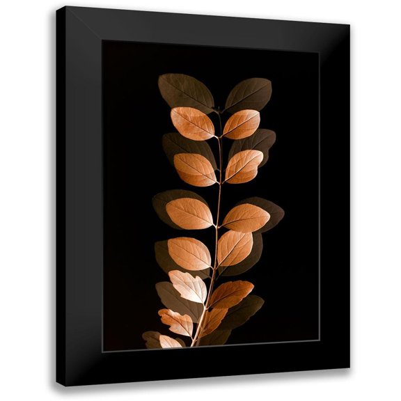 Winstanley, Ian 17x24 Black Modern Framed Museum Art Print Titled - Fall Leaves 7