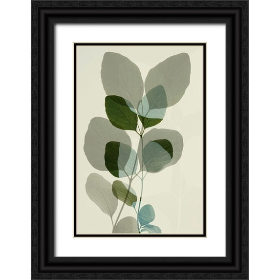 Winstanley, Ian 23x32 Black Ornate Wood Framed with Double Matting Museum Art Print Titled - Green Leaves 10