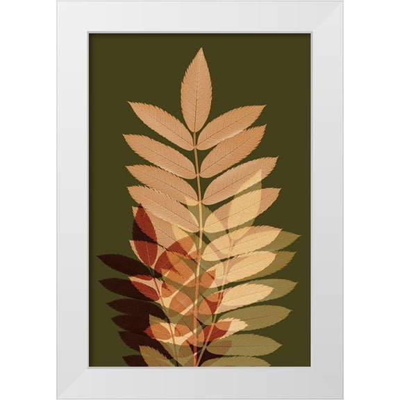 Winstanley, Ian 23x32 White Modern Wood Framed Museum Art Print Titled - Fall Leaves 2