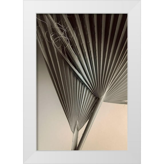 Winstanley, Ian 23x32 White Modern Wood Framed Museum Art Print Titled - Fan Detail 8