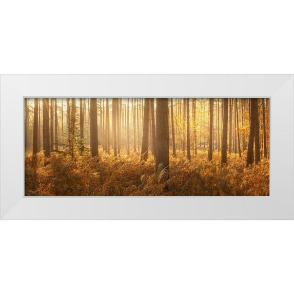 Winstanley, Ian 24x12 White Modern Wood Framed Museum Art Print Titled - Wyre Forest