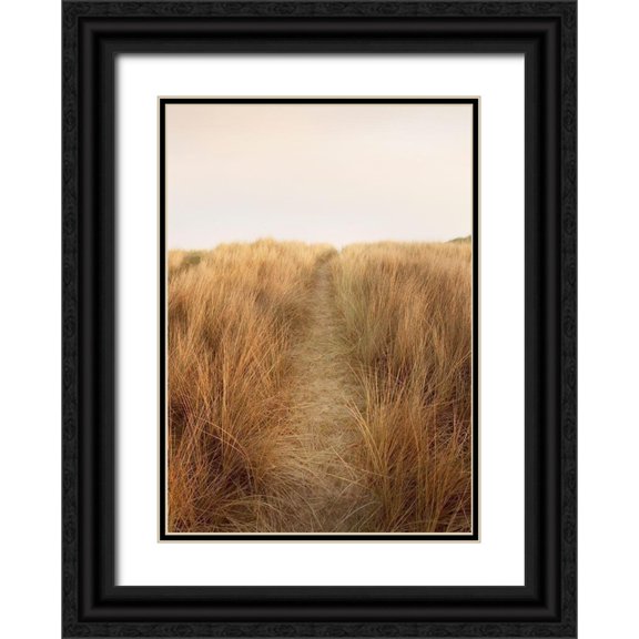 Winstanley, Ian 24x32 Black Ornate Wood Framed with Double Matting Museum Art Print Titled - Dunes with Seagulls 6