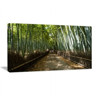 https://i5.walmartimages.com/seo/Winston-Porter-Wide-Pathway-in-Bamboo-Forest-Photographic-Print-on-Wrapped-Canvas_421c1713-693e-47a0-85e6-5a3a07355a87.79de42599d6026195a9de8e747fd19e0.jpeg?odnHeight=320&odnWidth=320&odnBg=FFFFFF