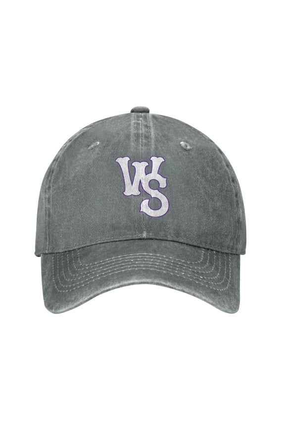 Winston-Salem Dashs Hat Adult Adjustable Classic Washed Casquette Cap Hat Baseball Cap