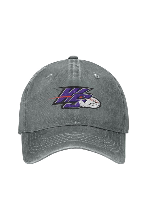 Winston-Salem Dashs Hat Adult Adjustable Classic Washed Casquette Cap Hat Baseball Cap