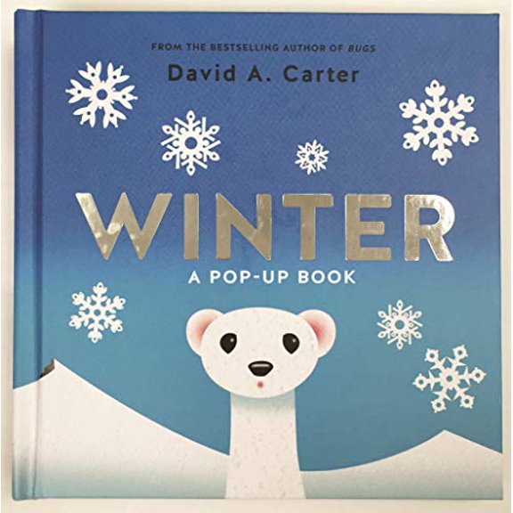 Pre-Owned Winter (Paperback) 1419718231 9781419718236
