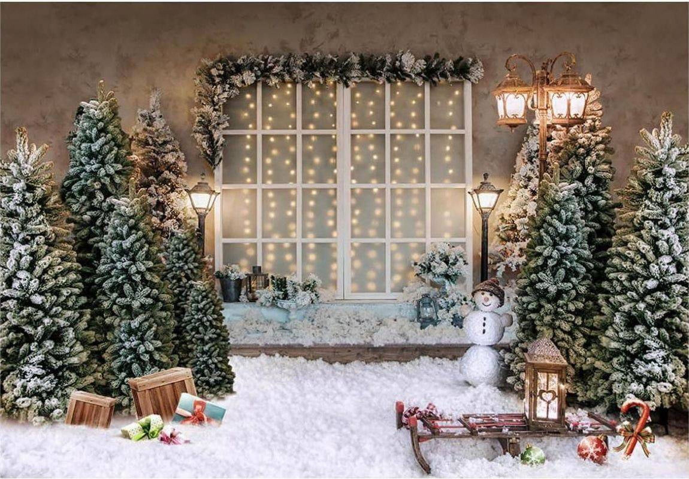 Winter Backdrop Snow Forest Snowscape Snowman Photography Background ...