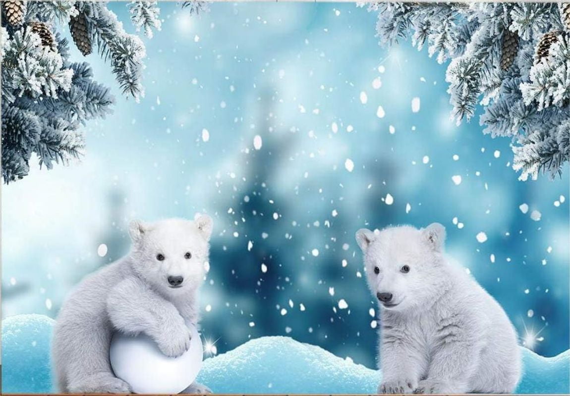 Winter Backdrop Snow Forest Snowscape Snowman Photography Background ...