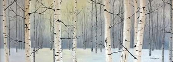 Winter Birch Forest Canvas Art - Julie Peterson (10 x 20)