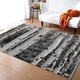 thumbnail image 1 of Winter Birch Forest Plants Area Rugs, Black And White Abstract Dry Branches Print Rug, Machine Washable Breathable Durable Carpet For Room Sofa Living Room Mat Bedroom Home Decor 4x5ft, 1 of 6