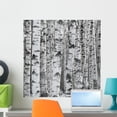 thumbnail image 1 of Winter Birch Tree Forest Wall Mural by Wallmonkeys Peel and Stick Graphic (24 in H x 24 in W) WM17948, 1 of 4
