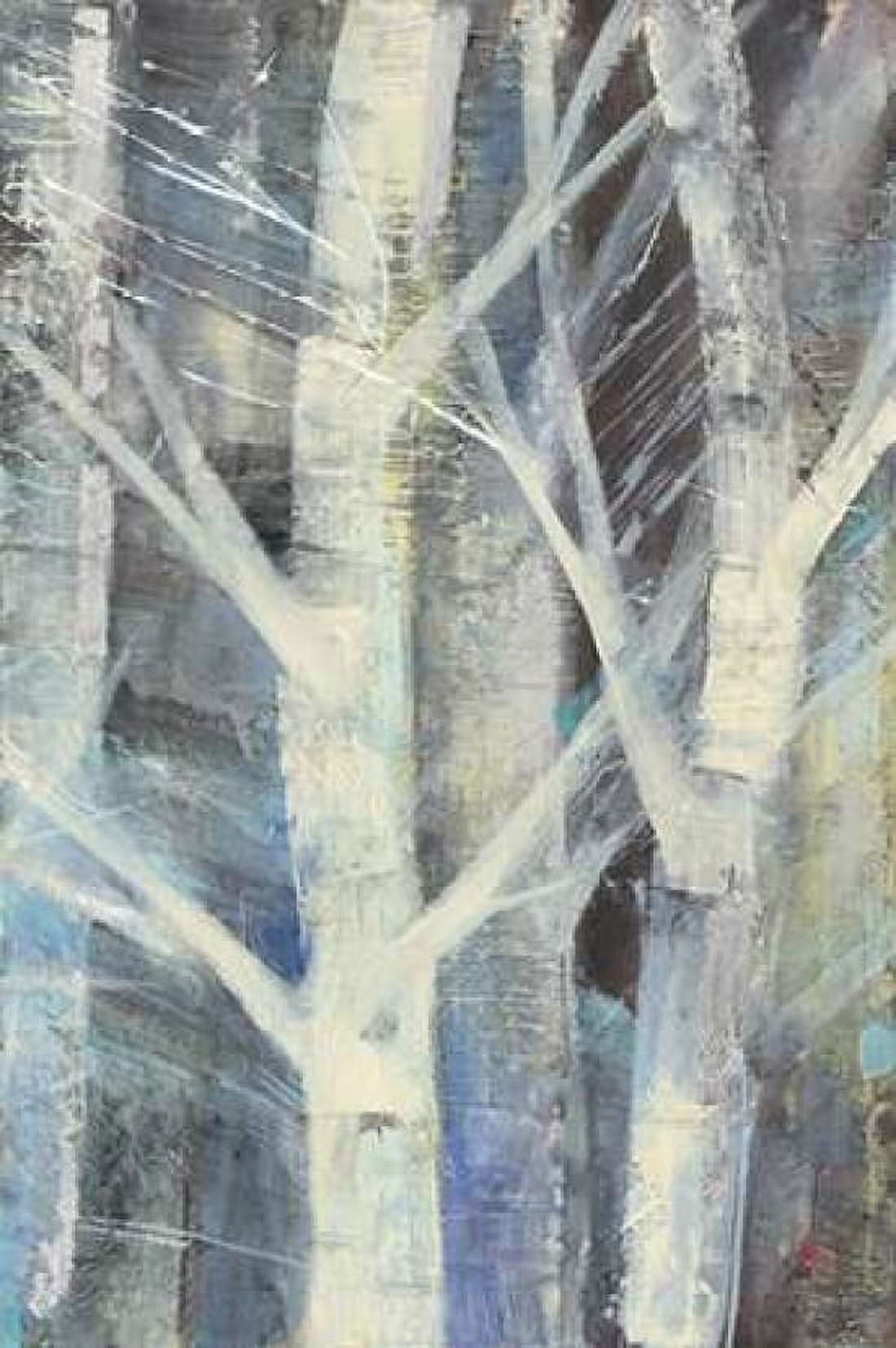 Winter Birches II Canvas Art - Albena Hristova (12 x 18)