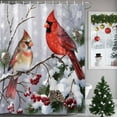 thumbnail image 1 of Winter Bird on Tree Branch Shower Curtain for Bathroom, Snowscape Snowflake Berry Pinecone Waterproof Shower Curtains Washable Quick Dry with Hooks Bathtub Curtains 60x72IN, 1 of 9