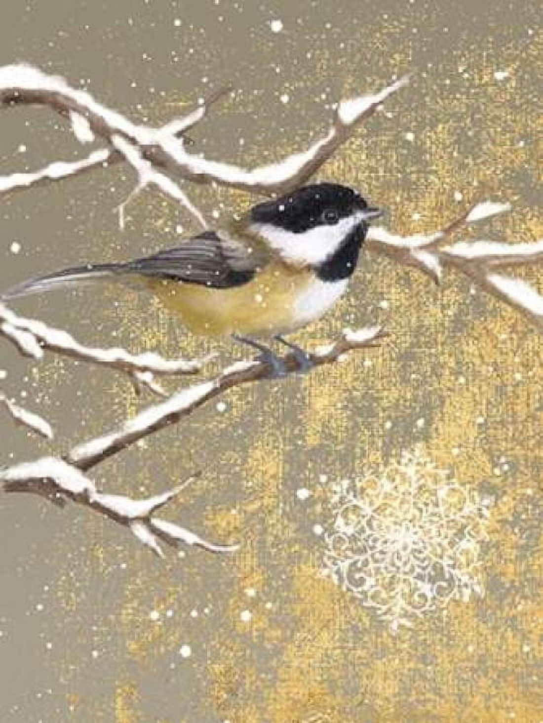 Winter Birds Chickadee Color Canvas Art - Beth Grove (18 x 24)