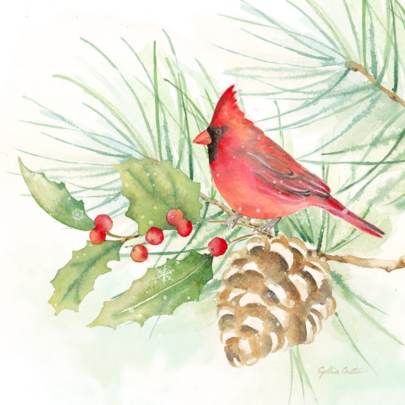 Winter Birds Iv Cardinal Poster Print by Cynthia Coulter