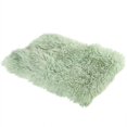 thumbnail image 1 of Winter Blanket,39x29Inch Soft Warm Light Weight Blanket Made of Coarse Hair,Fuzzy Cozy Blanket,Suitable for Small Pet Blanket(Green), 1 of 6