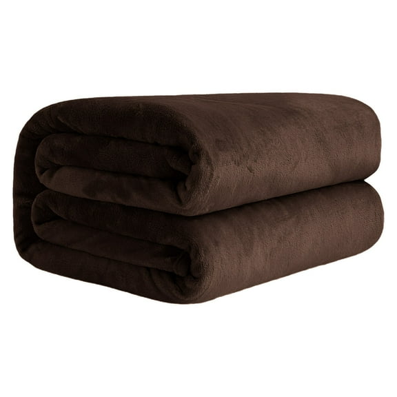 Winter Blankets Queen Size, Fleece Blanket Queen Size,Super Soft Flannel Queen Size Blanket For Bed,Plush Cozy Blanket For All Seasons,Luxury Cozy Microfiber Plush Fuzzy Blanket(59x79 Inch)