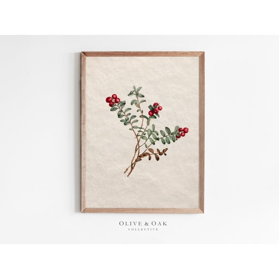 Winter Botanical Print, Winter Branch Drawing, Unframed Paper Poster 24x36in