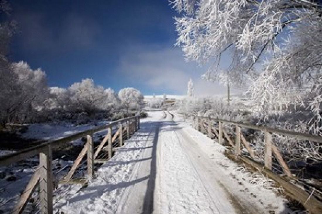 Winter Bridge Maniototo South Island New Zealand Canvas Art - David Wall DanitaDelimont (35 x 24)