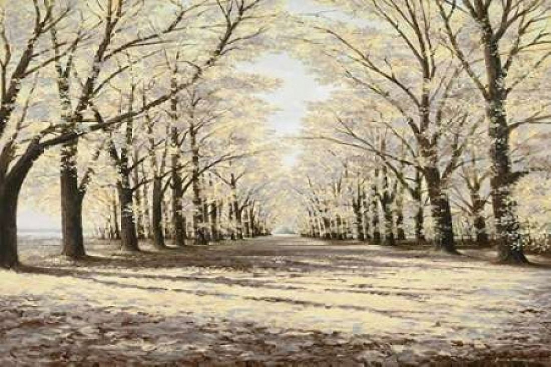 Winter Cathedral Canvas Art - Bruce Nawrocke (12 x 18)