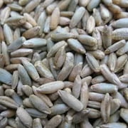 Winter Cereal Rye - 1 LB 8,000 Seeds - Non-GMO, Open Pollinated - Farm & Garden Cold Weather Cover Crop & Erosion Control