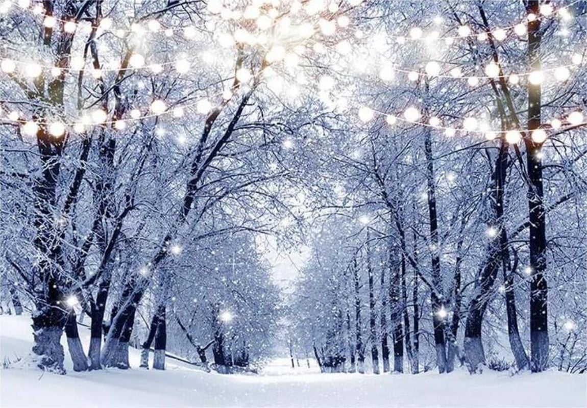 Winter Christmas Tree Photography Background Glitter Snow Scene Light ...