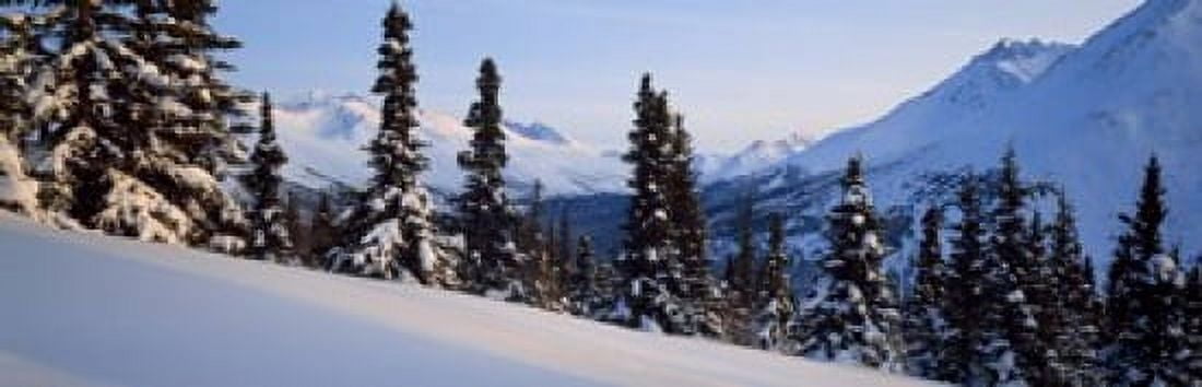 Winter Chugach Mountains AK Canvas Art - Panoramic Images (18 x 6)