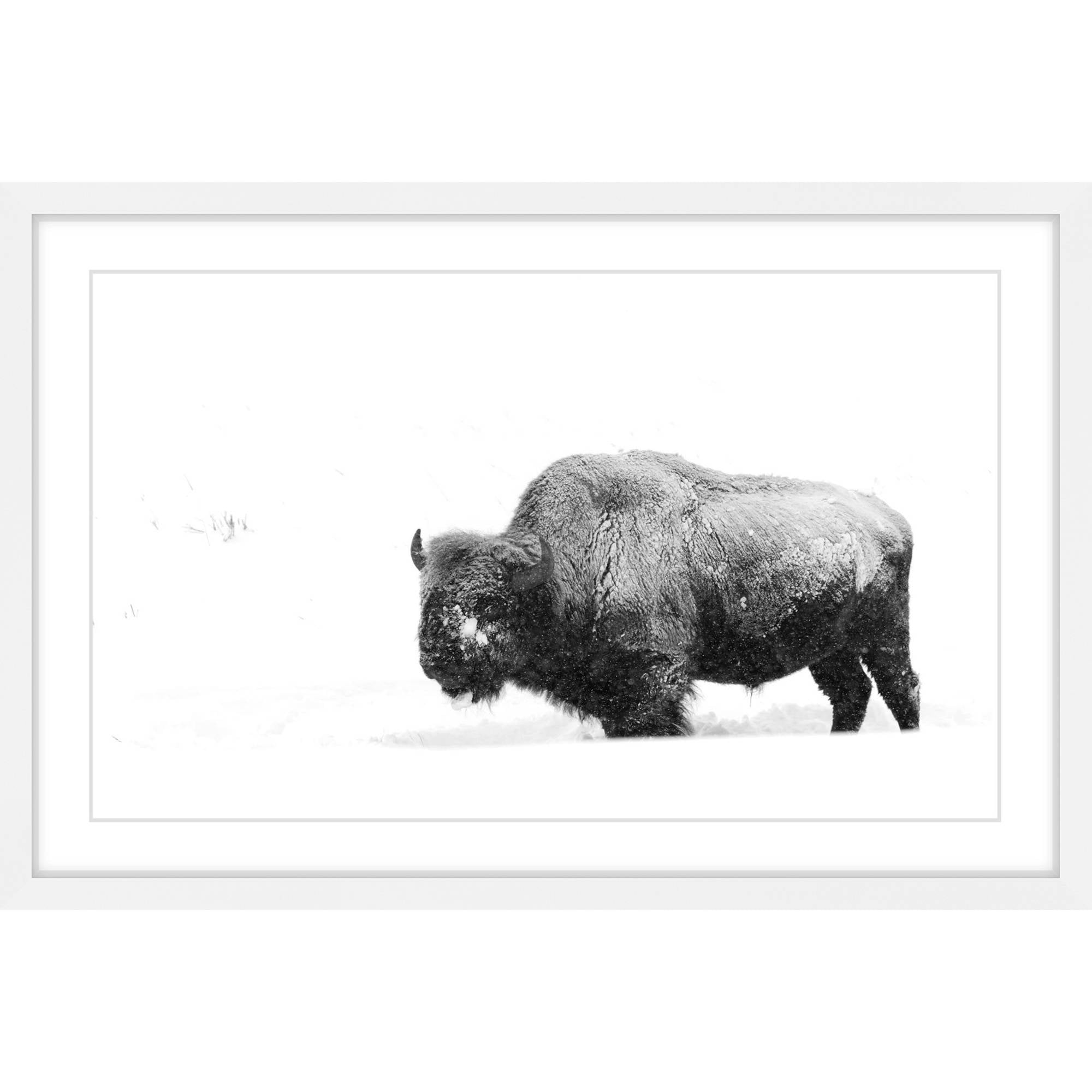 Winter Coat Black and White Framed Canvas Print