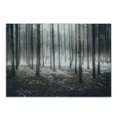 thumbnail image 1 of Winter Cutting Board, Scene of Dark Spooky Misty Forest Veiled with Fog Mystic Birches Print, Decorative Tempered Glass Cutting and Serving Board, Small Size, Brown White, by Ambesonne, 1 of 1