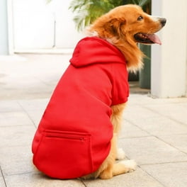Chihuahua sweaters walmart hotsell