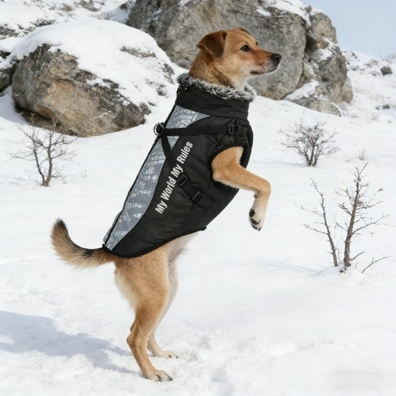 Winter Dog Coat Thermal Dog Apparel Cold Weather Dog Jacket With Faux Fur Collar & Adjustable Straps(Silver-XL)