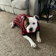 thumbnail image 1 of Winter Dog Sweatshirt Thickened Red Plaid Casual Medium Large Size 16.5x19.7x27.5 Inches, 1 of 6
