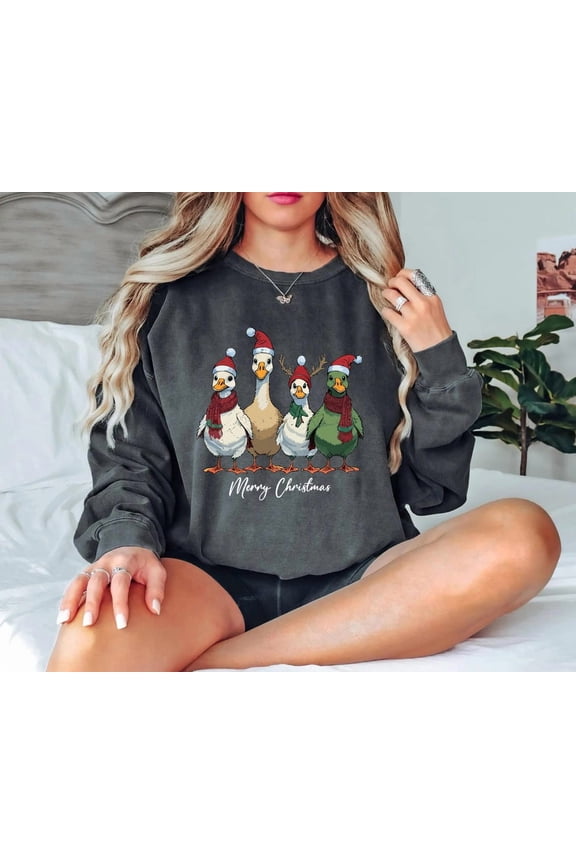 Winter Ducks Sweatshirt,Womens Winter Sweater,Animals Winter Shirt, Farm Lover Gift,Winter Gift Women,Chtristmas Tee,S159 Sweatshirt All Size S-5XL