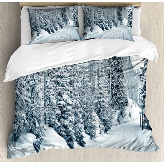 Winter Duvet Cover Set Queen Size, Ski Themed Snowy Road Cold Parts of the World Footprints Colorado United States, Decorative 3 Piece Bedding Set with 2 Pillow Shams, Black White, by Ambesonne