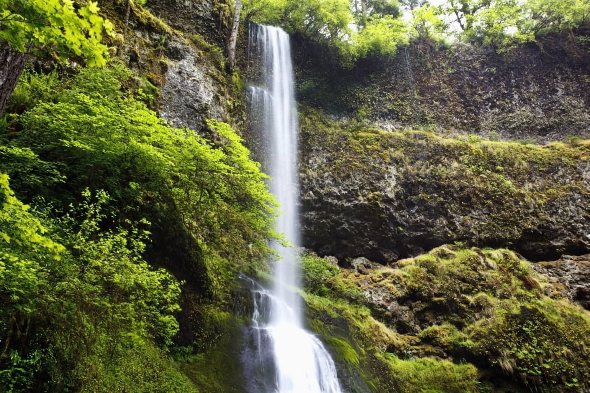 Winter Falls In Silver Falls State Park Oregon Usa Canvas Art - Craig Tuttle Design Pics (38 x 24)