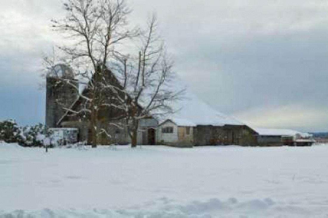Winter Farm Canvas Art - Dana Styber (12 x 18)