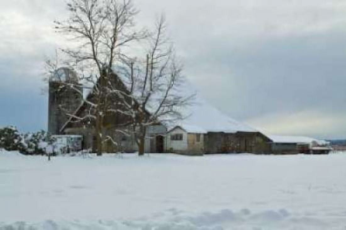 Winter Farm Canvas Art - Dana Styber (24 x 36)